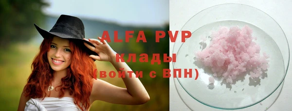 ПСИЛОЦИБИНОВЫЕ ГРИБЫ Рославль